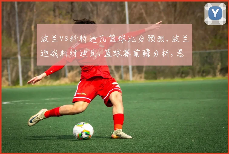 波兰vs科特迪瓦篮球比分预测,波兰迎战科特迪瓦,篮球赛前瞻分析,悬念重重