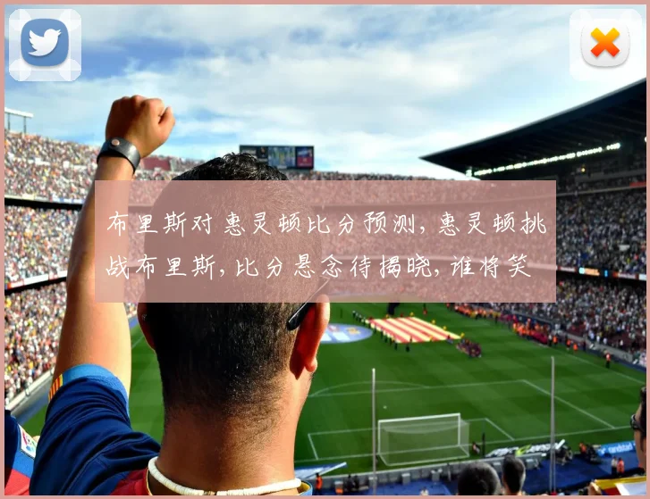 布里斯对惠灵顿比分预测,惠灵顿挑战布里斯,比分悬念待揭晓,谁将笑到最后