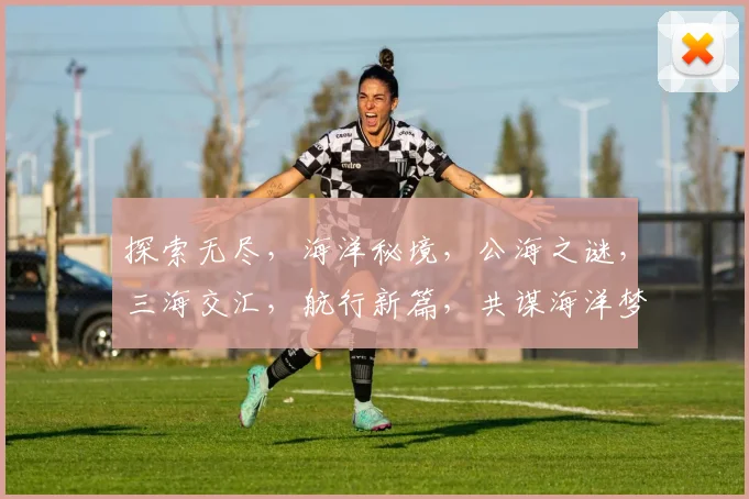 探索无尽，海洋秘境，公海之谜，三海交汇，航行新篇，共谋海洋梦。