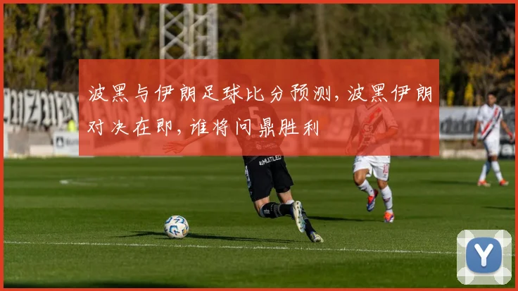 波黑与伊朗足球比分预测,波黑伊朗对决在即,谁将问鼎胜利